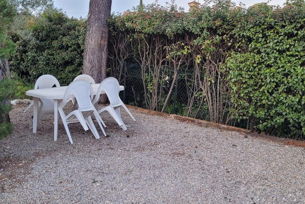 Appartement Dans Une Villa Au Coeur De La Provence トラン・アン・プロバンス エクステリア 写真